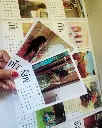 polaroid calendar2.webp